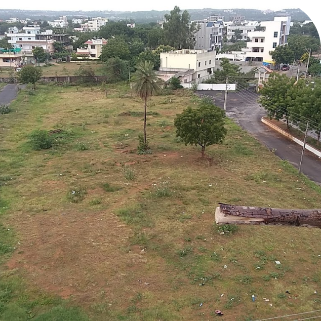 Fortune Meadows - Layout Development